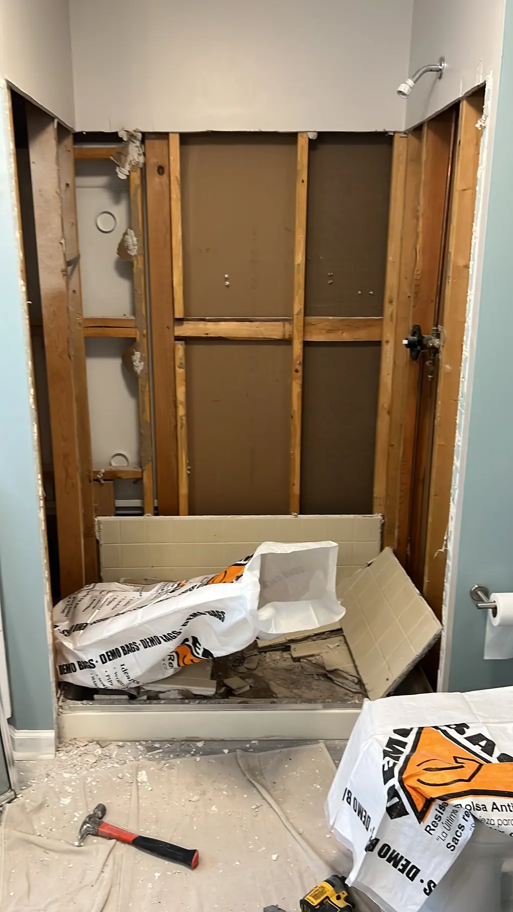 Bathroom wall opened down to the studs during demolition